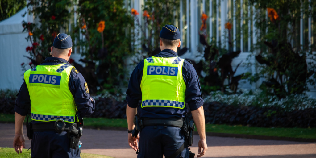 15-årig pige anholdt: Mistænkt for drab på sin 10-årige lillebror