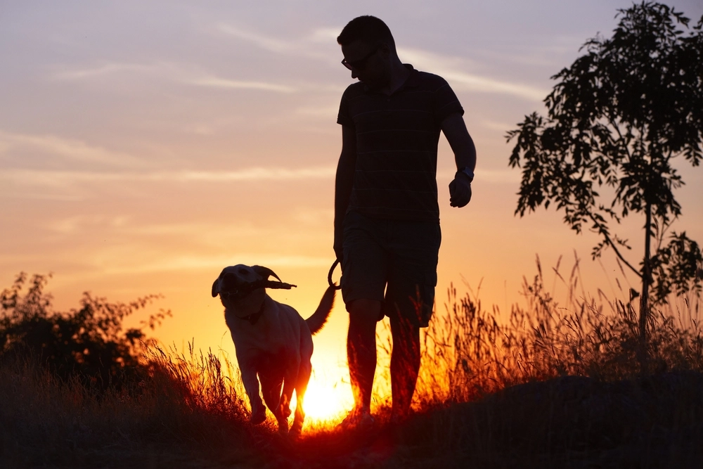 Kend tegnene: Dyrlægens guide til hvornår det er tid til at sige farvel til din hund