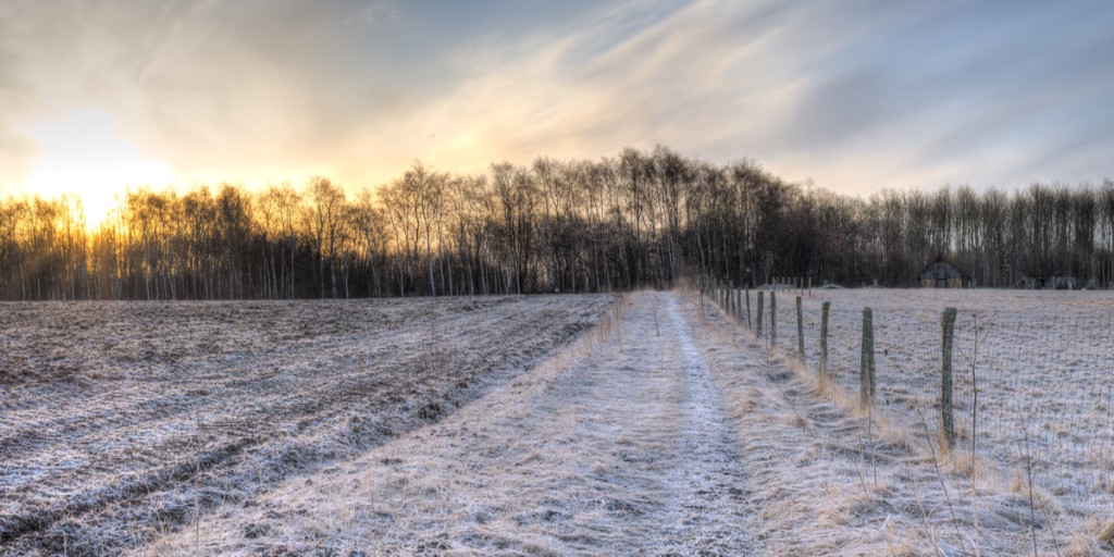 Tid til vinterdæk: DMI melder om nattefrost