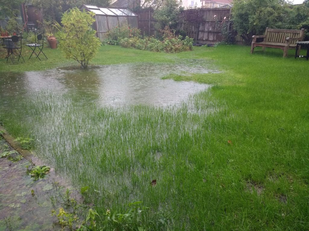 Mange kæmper med oversvømmede græsplæner: Sådan får du den effektivt drænnet