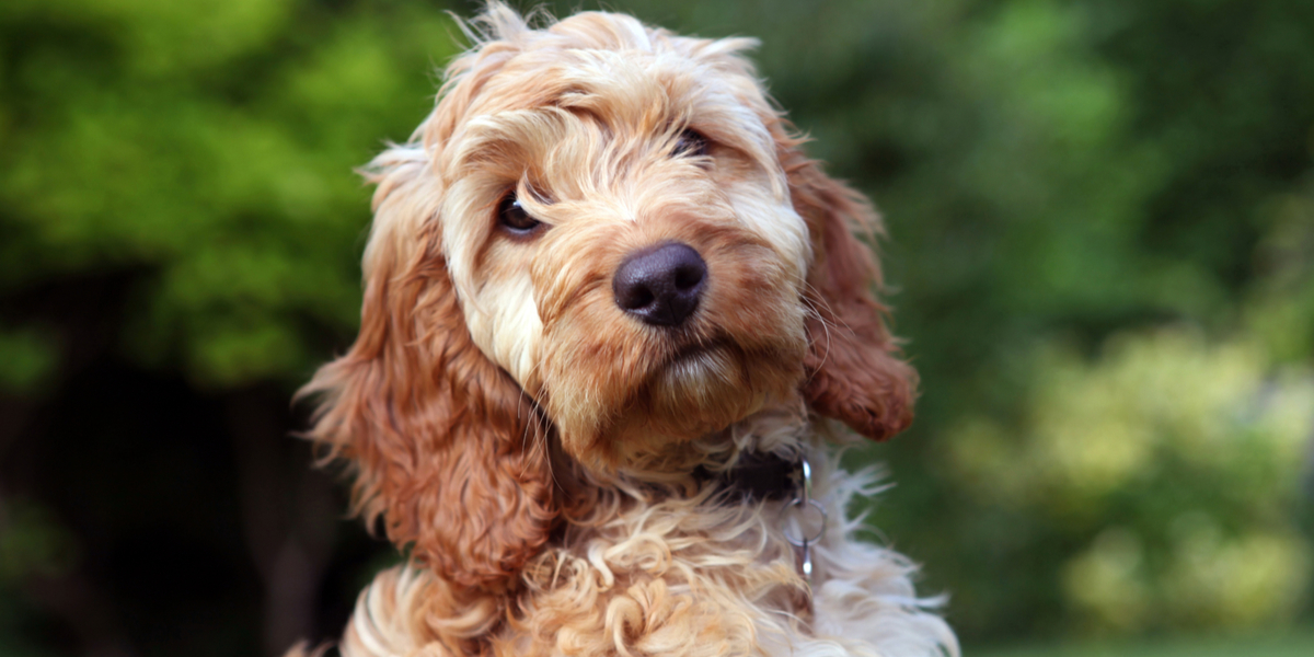 Slår alarm over mundbind