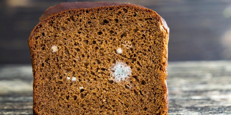Kunder klager over mug: Nu trækkes rugbrød tilbage i hele landet
