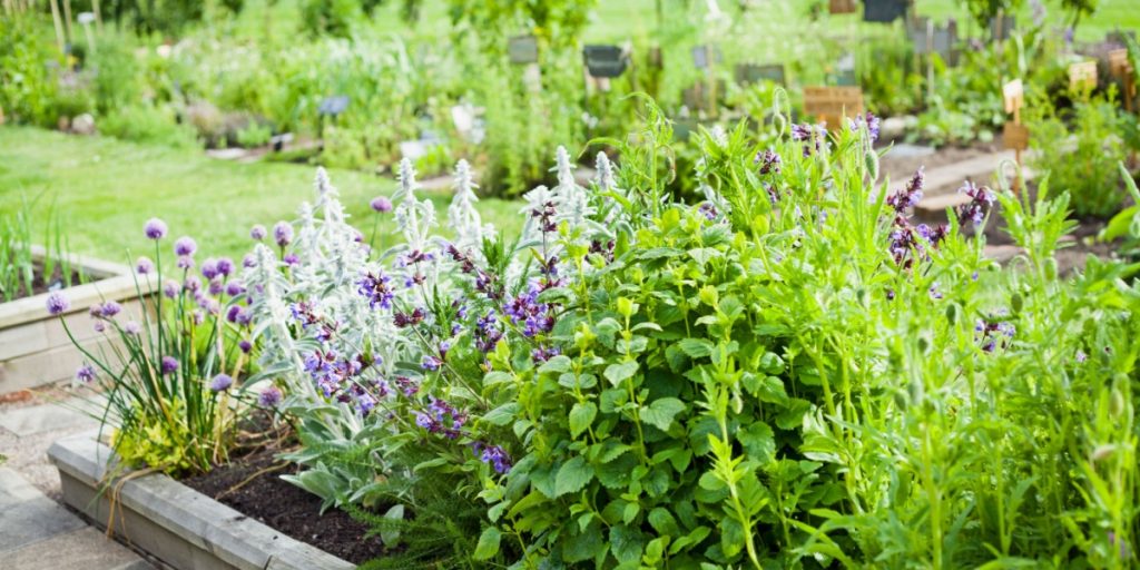 Haven i juni: Disse ting bør du gøre