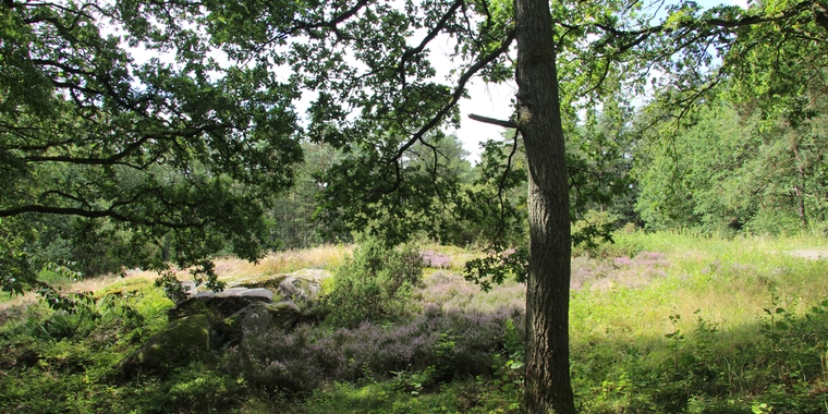Død mand på shelterplads: Politiet efterforsker sagen som mistænkelig