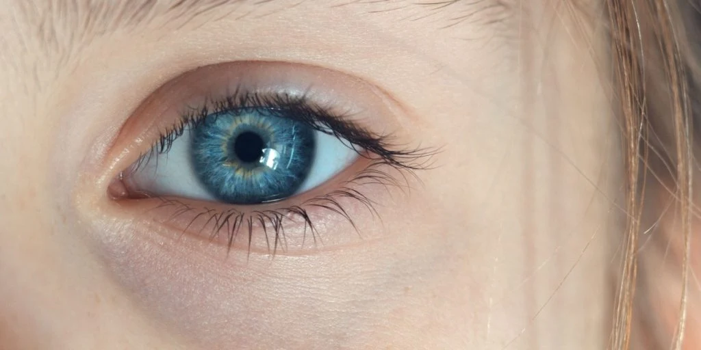 Nyt studie bekræfter: Børns øjne kan afsløre diagnoser