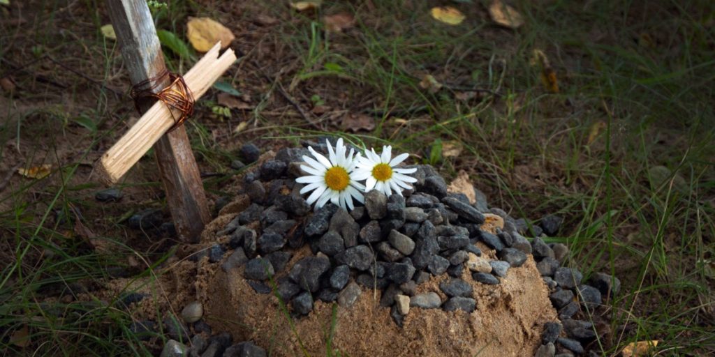 Ejer i sorg efter at have mistet sin hvalp: Få dage senere sker der et mirakel