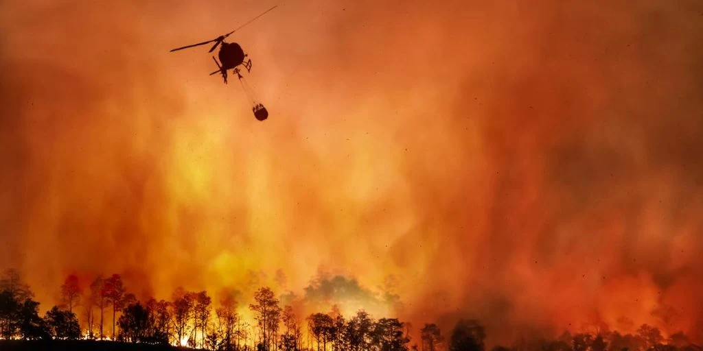 Stor skovbrand ude af kontrol: Flere såret