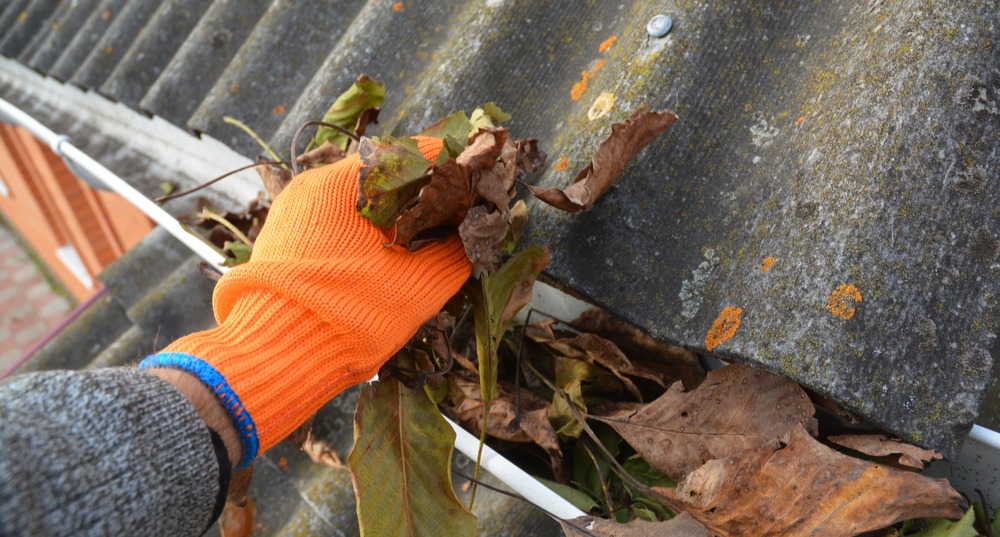 Ny lov rulles ud 1. juli: Danskerne har længe krævet det