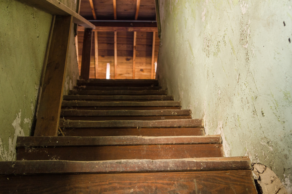 Barnebarn hjalp med at tømme kælderen: Så fandt han en samling, han ikke havde regnet med