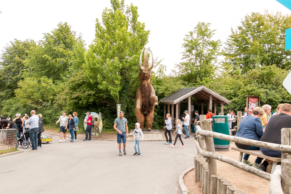 Aalborg Zoo deler video af nyt, lille vidunder: Folk ‘smelter’, når de ser den