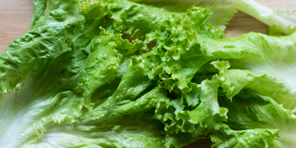 Sådan holder du salat frisk og sprød i 3 uger