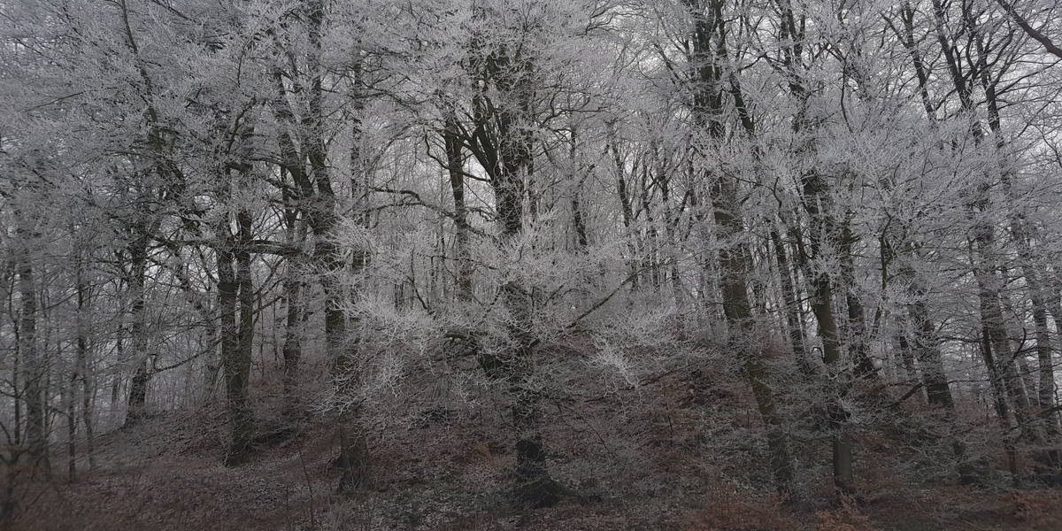 DMI med ny udmelding: Det bliver ikke uden kamp