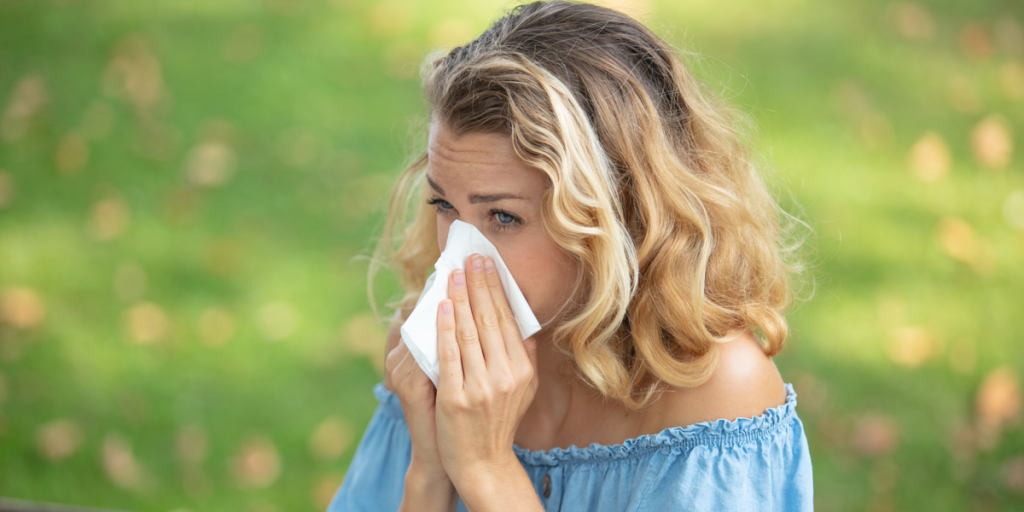 Dårligt nyt til alle allergikere: Frygtet pollen-plante sniger sig ind i Danmark