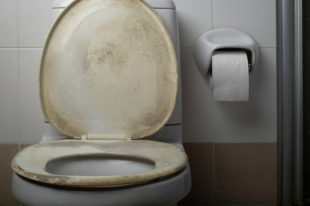 Rengøringsekspert med klam afsløring: Denne fejl begår du helt sikkert når du rengøre toilettet