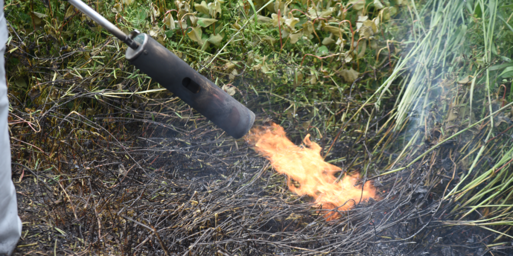 Nu skal du være opmærksom: 900 sigtelser årligt