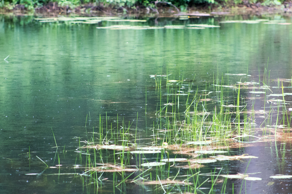 Rotur i smuk naturpark endte i tragedie: Kvinde havde ikke en chance