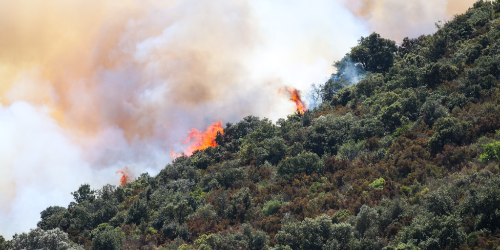 Skovbrande hærger i Spanien