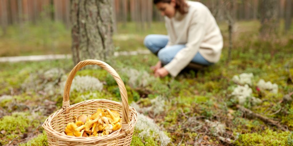 Fødevarestyrelsen advarer: Mange bliver forgiftet