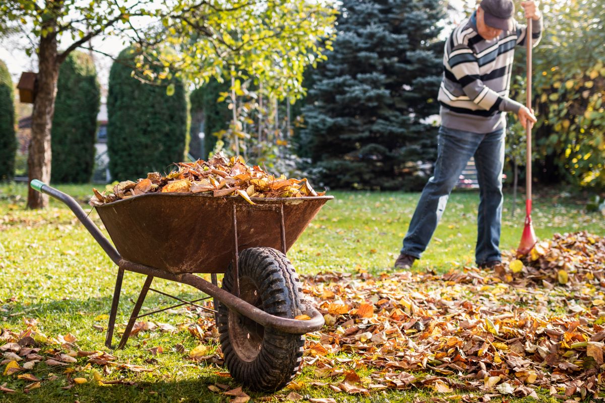 5 vigtige haveopgaver du skal klare i november