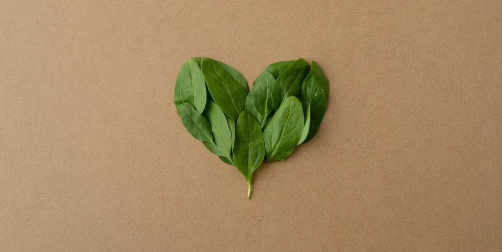 Dommen er faldet: Veganer var ikke udsat for diskrimination på sygehus