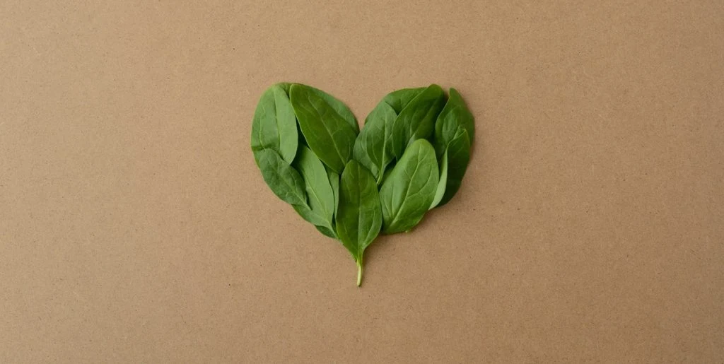 Dommen er faldet: Veganer var ikke udsat for diskrimination på sygehus