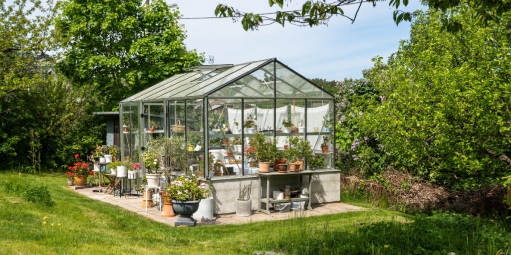 Dyrker du tomater eller agurker i drivhus? Dét skal du nå at gøre inden juni