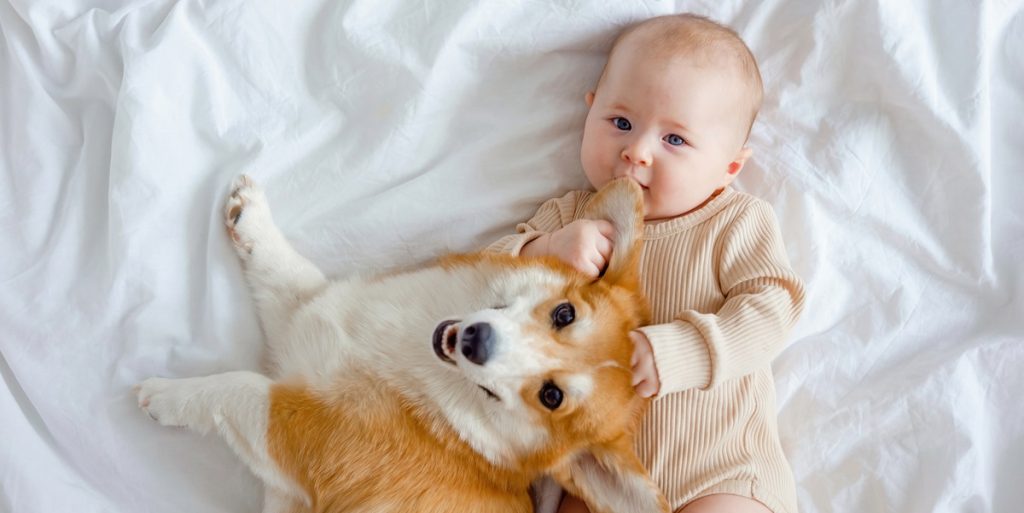 Babys første møde nogensinde med en hund: Reaktionen er gået viralt