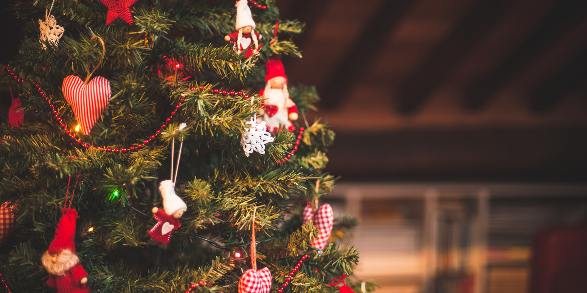 Fantastiske tips: Sådan holder du juletræet flot længe