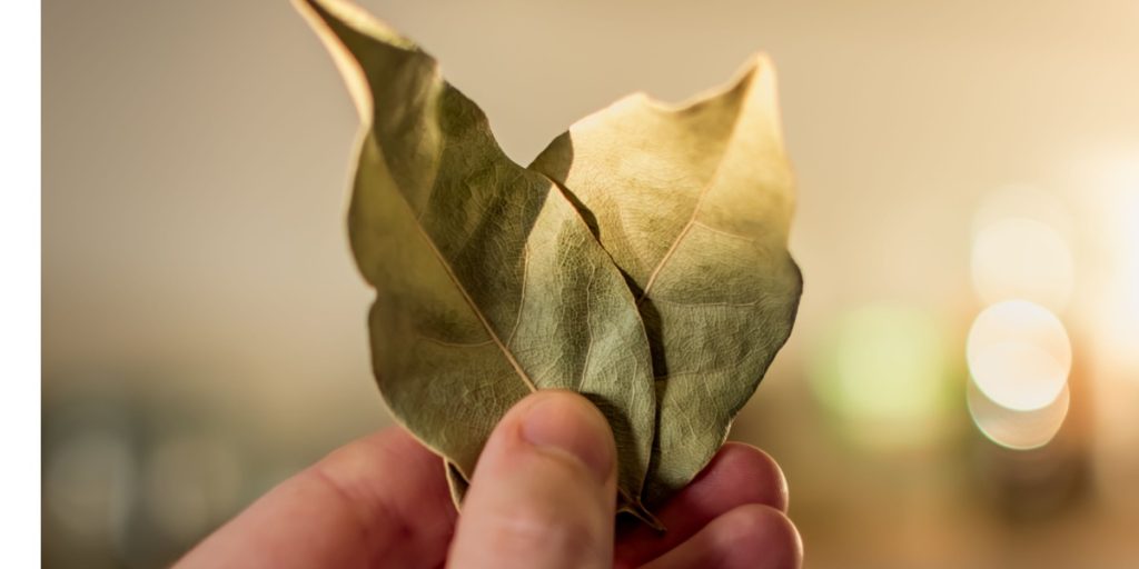 Hun placerer et laurbærblad bag sit telefoncover: Nu gør flere og flere det samme.