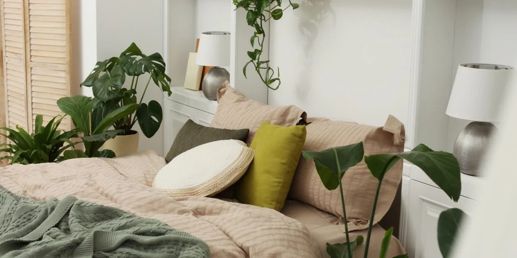 Har du planter på dit soveværelse? Så bør du læse med her