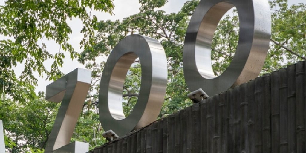 Zoologisk have ser ægte kærlighedsmirakel: Nyfødte unger reddet fra døden