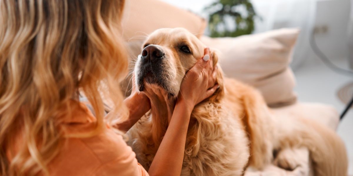 Biden eller pludselig gøen? 5 ændringer i din hunds adfærd du skal være opmærksom på