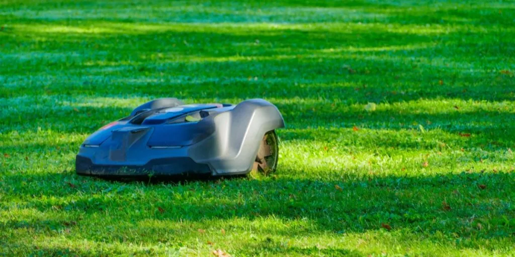 Plejer i opråb: Tænk dig om før du tænder din robotplæneklipper