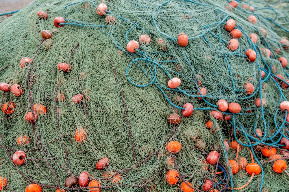 Else var på stranden, da hun så en fisker med sit net: Hvad der så skete fik hende helt op i det røde felt