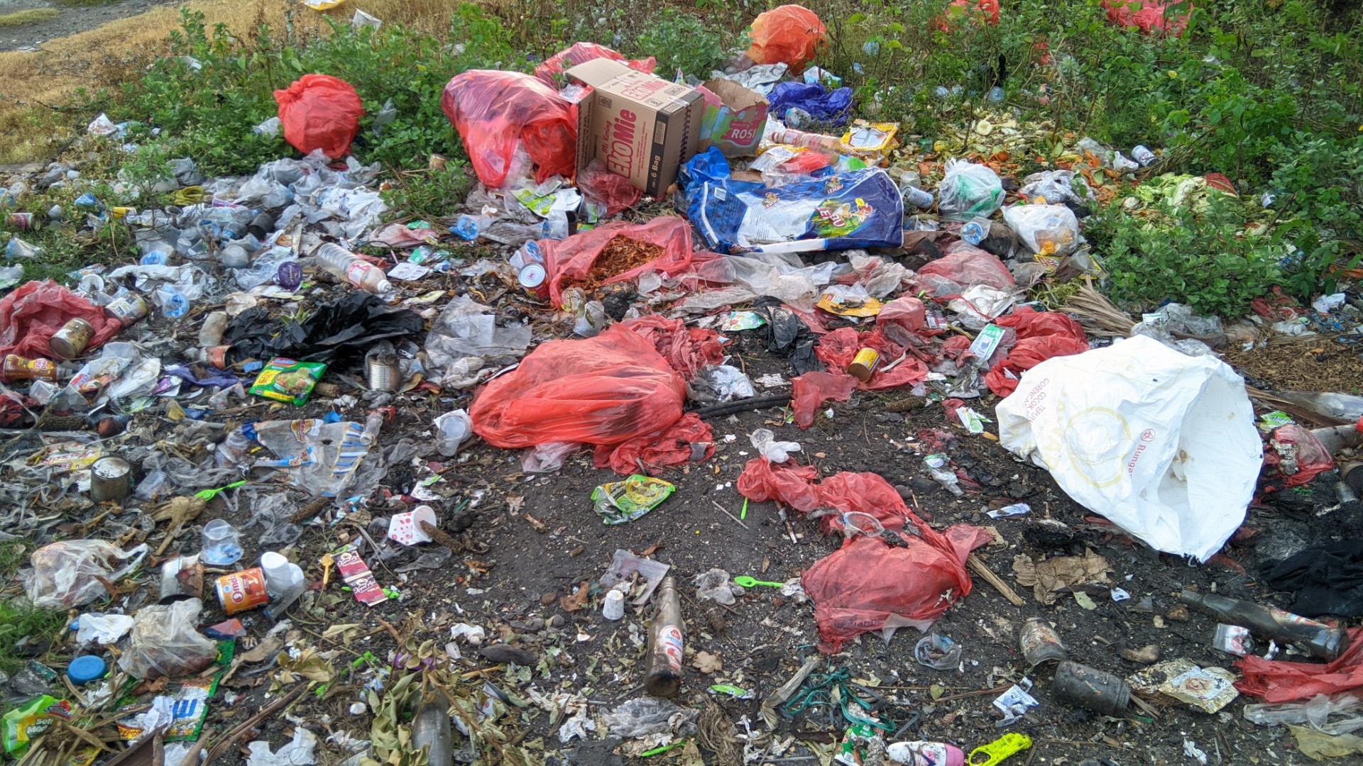 Pensionist Lise raser over naboernes skrald: “Det er noget forfærdeligt svineri”