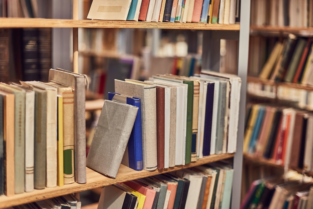 Har været længe ventet: Danske biblioteker med stor nyhed