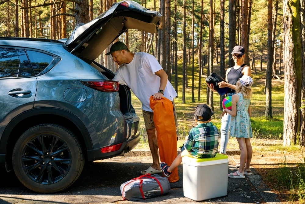 Tjek dette inden kør-selv: Detalje på bilen kan koste dig hele ferien