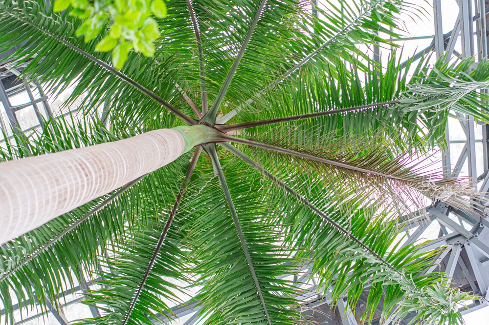 Dansk turistattraktion må lukke: Gæsterne bliver kogt