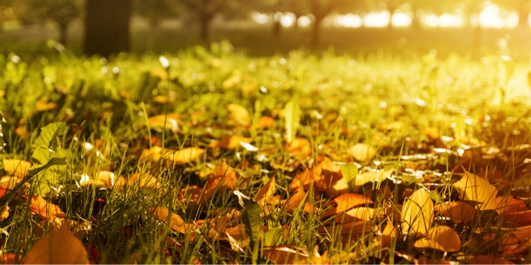 DMI med overraskende prognose