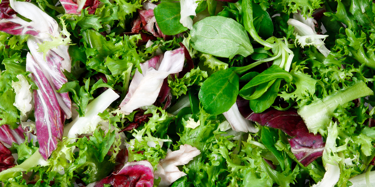 Ulækkert: Ikke nok at skylle – Din salat kan stadig være fyldt med bakterier