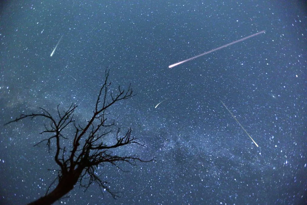 I nat kan du se stjerneskud i hundrevis: Meteorsværm over Danmark