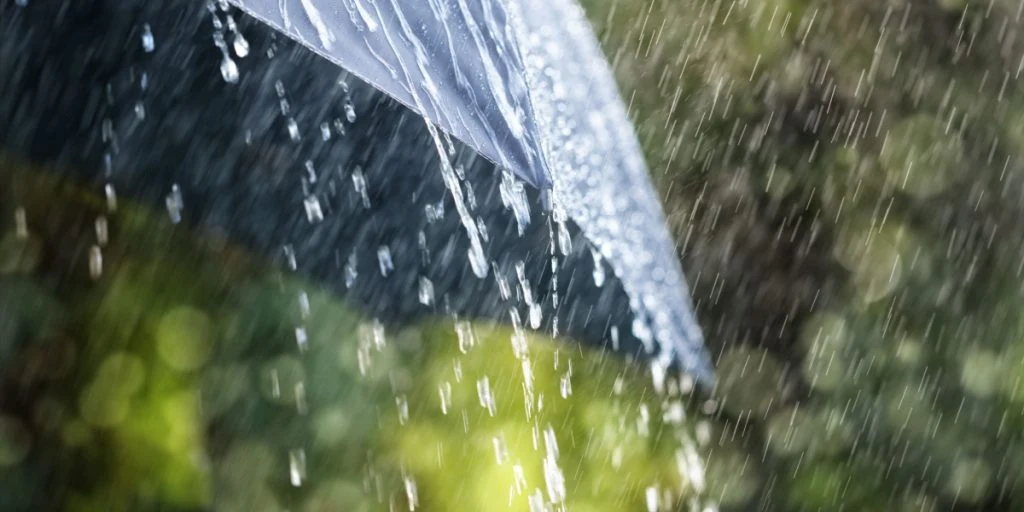 DMI varsler: Hold dig indendørs: Der kommer regn – og masser af det