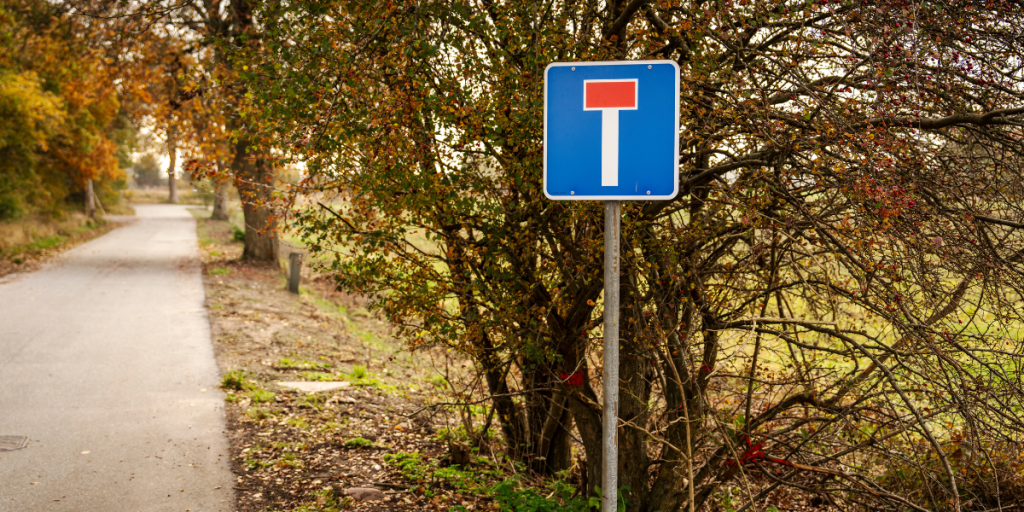 Alt for få ved, hvad dette vejskilt betyder: Sådan skal du reagere
