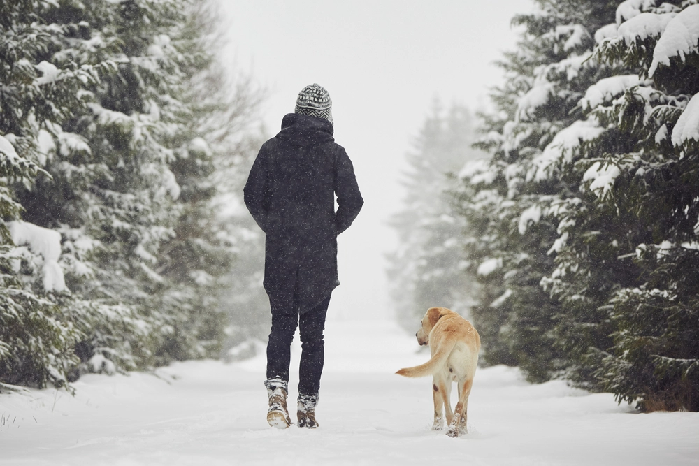 Opråb til alle hundeejere: Dette skal du overveje, når du lufter hund om vinteren