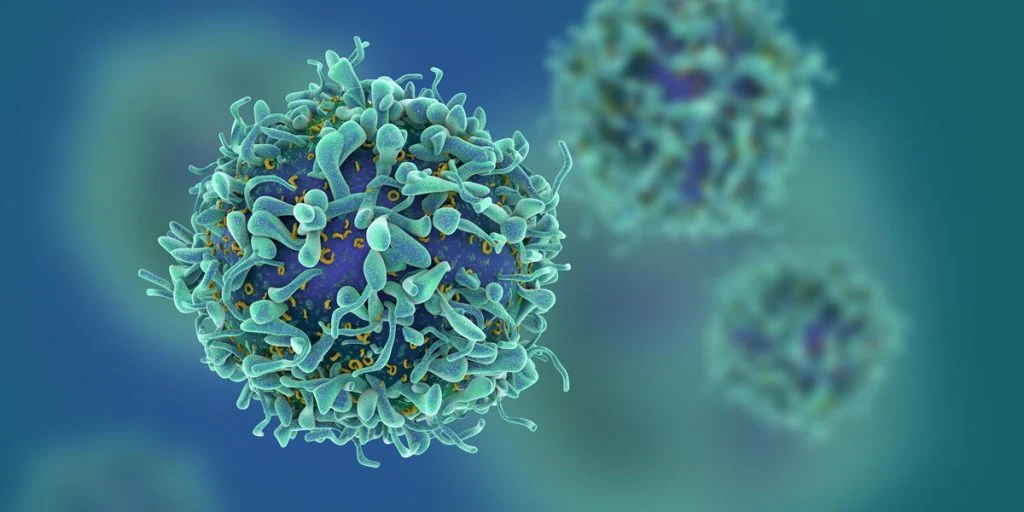 Ny forskning i Aarhus fokuserer på forbindelsen mellem kræft og immunforsvar