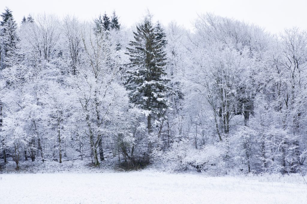 DMI: Sneen rammer Østjylland først