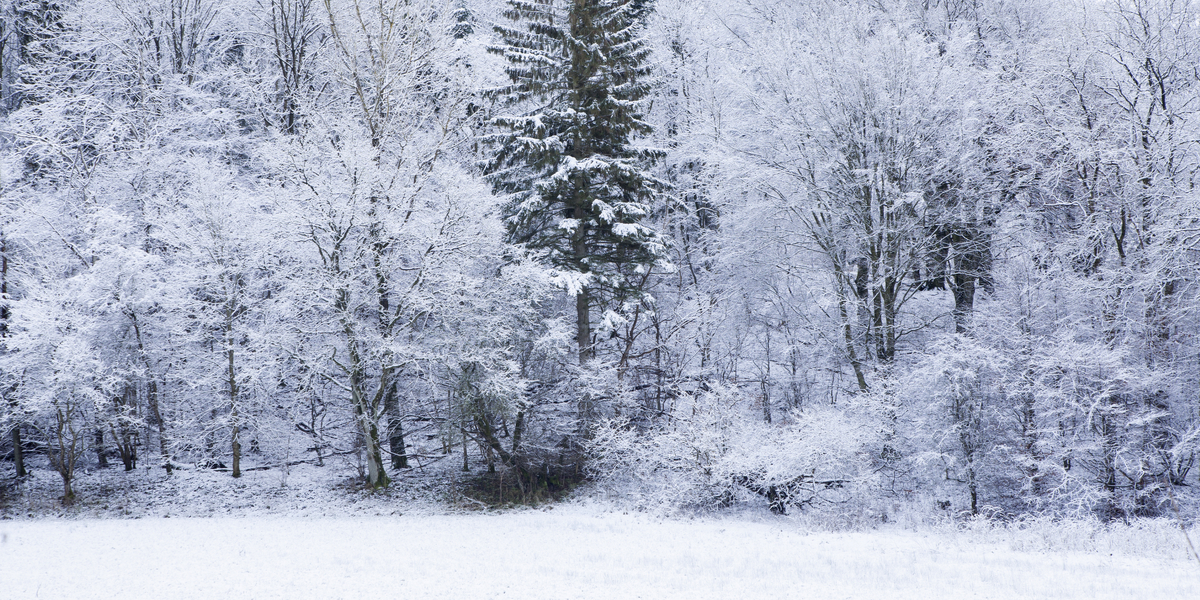 DMI: Her kan der falde sne