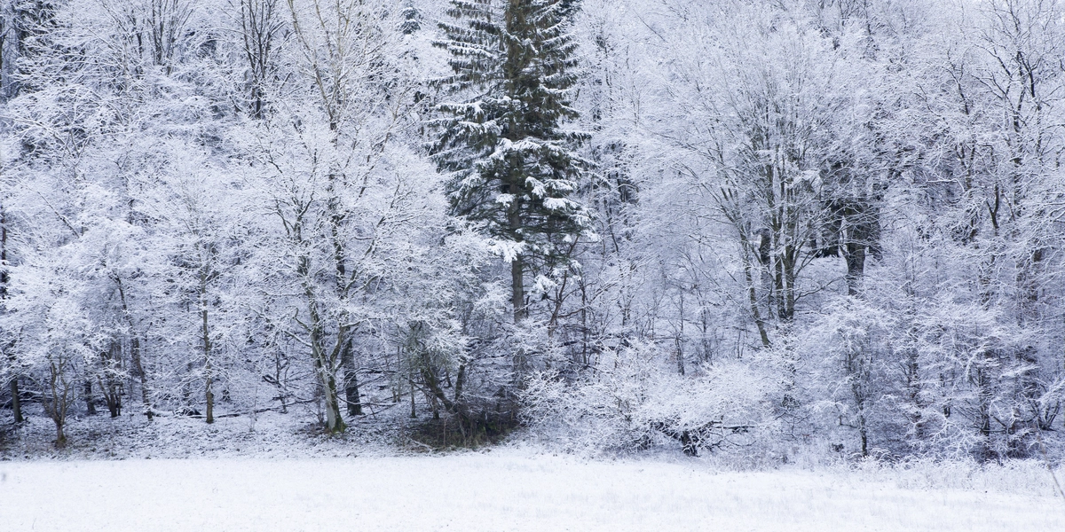 DMI: Her kan der falde sne