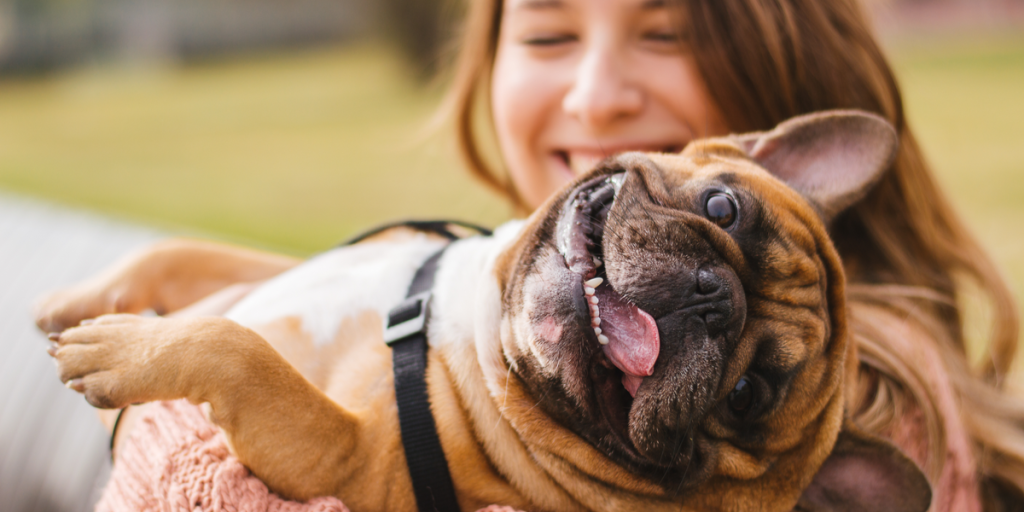 Alt det hundeejere vil vide: Her er tegnene på, at din hund elsker dig