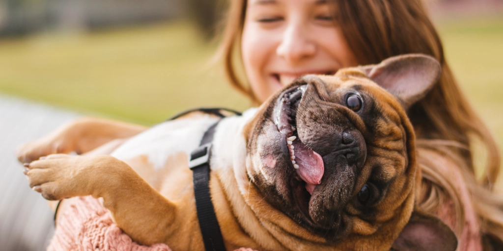Alt det hundeejere vil vide: Her er tegnene på, at din hund elsker dig